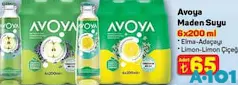 AVOYA MADEN SUYU 6X200 ML